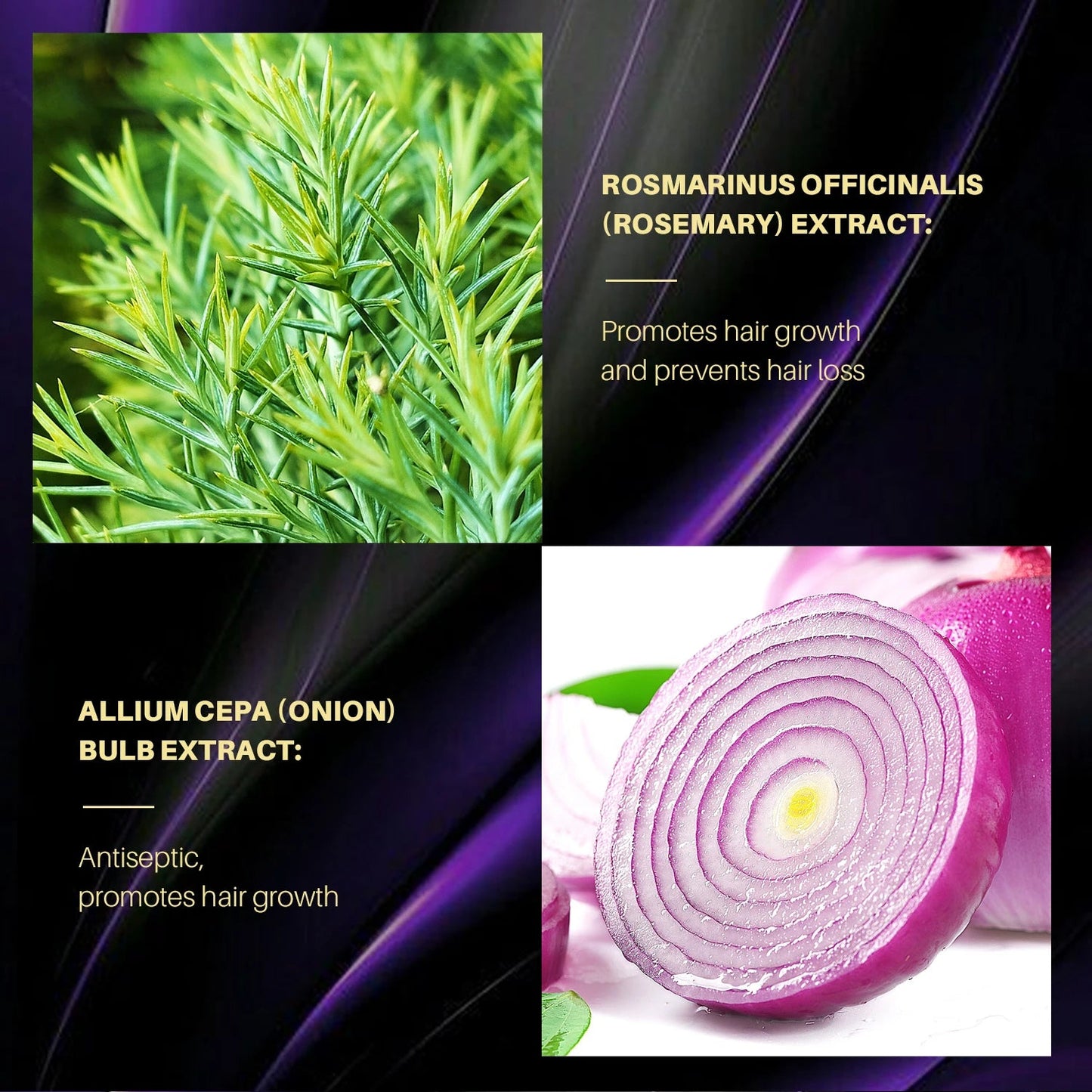 Onion & Rosemary Hair Regrowth riazexpress
