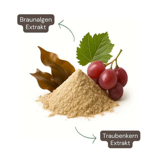 Algues Brunes & Pépins de Raisin – composition et ingrédients