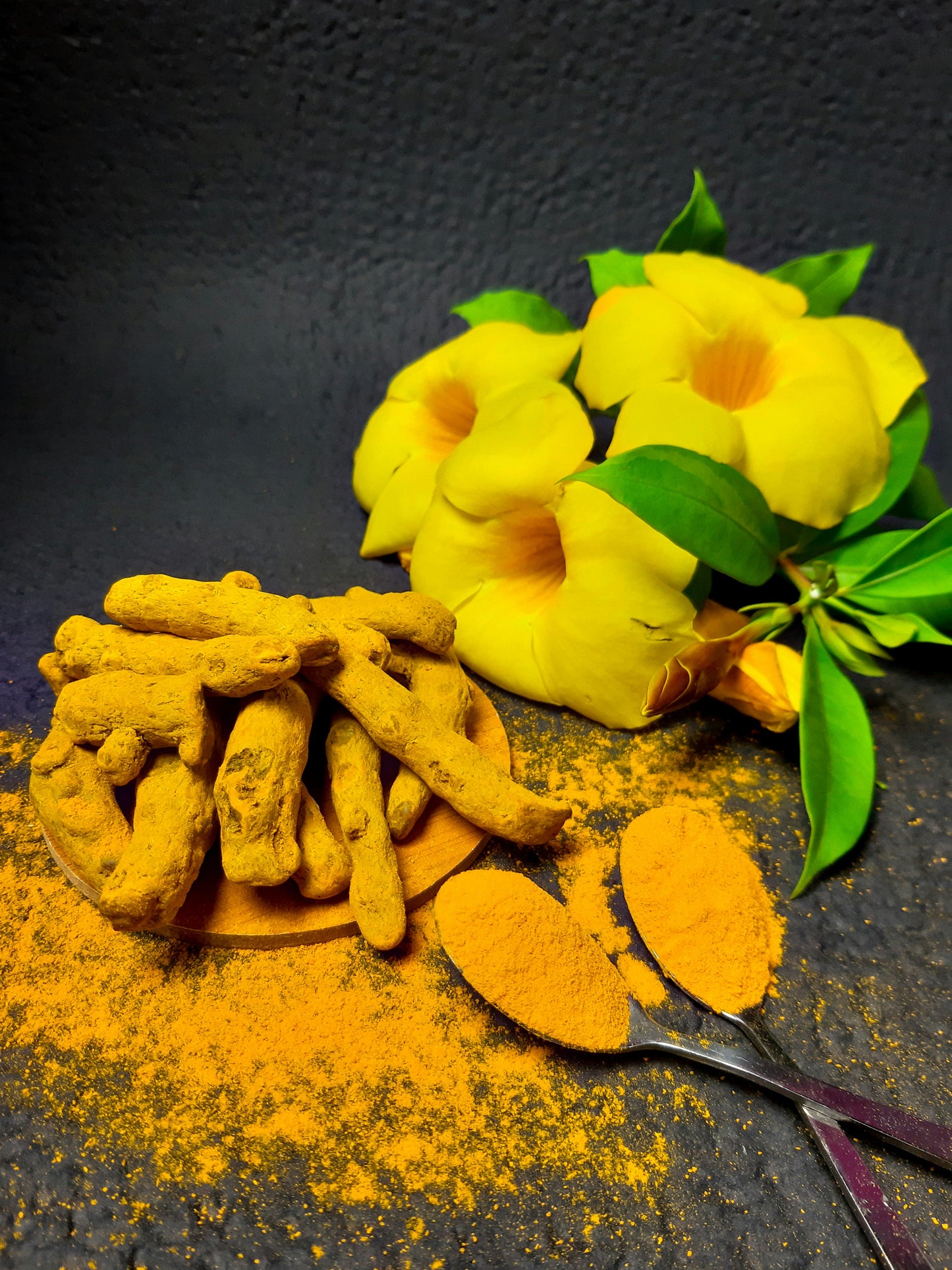Turmeric Powder-3