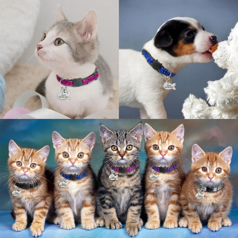 Stylish Nylon Pet ID Collars