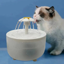 Pet Water Fountain - USB Electric