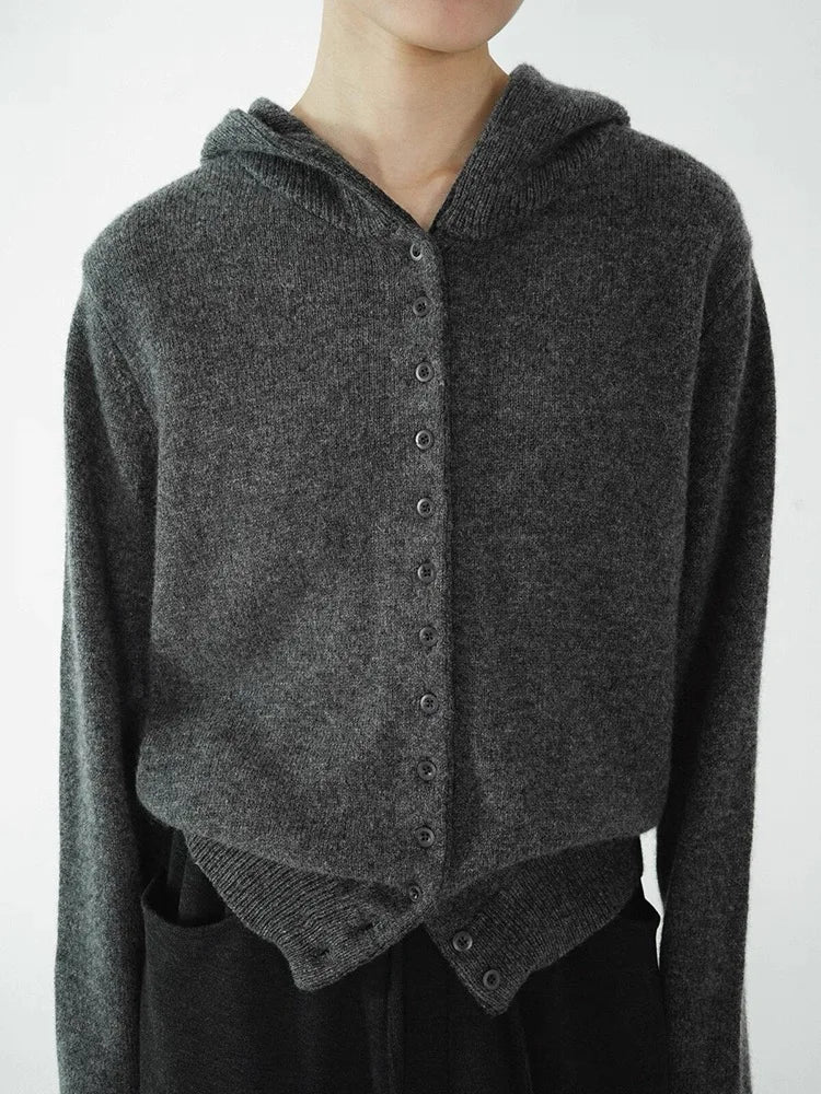 Pure Cashmere Hooded Sweater