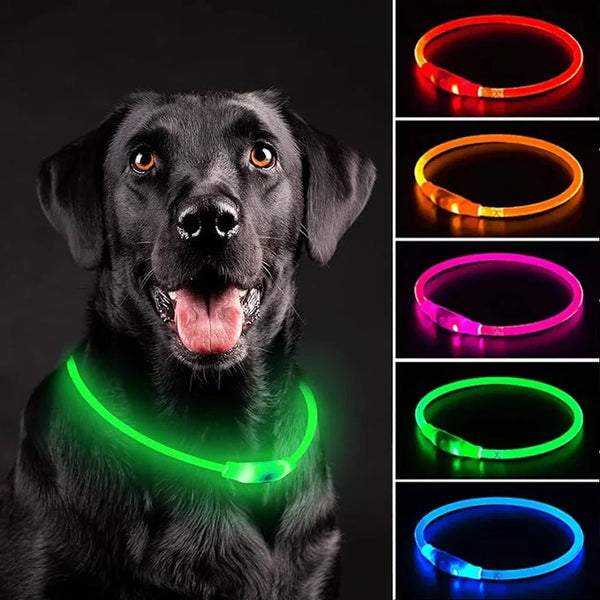 LED Dog Collar - Luminous USB Rechargeable Pet Accessory