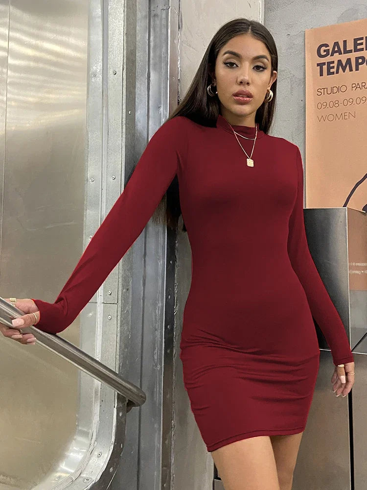 Long Sleeve Slim Bodycon Mini Dress Women Turtleneck