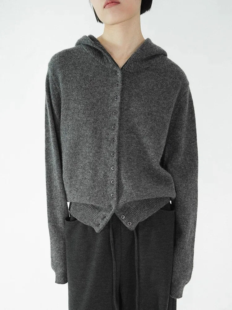 Pure Cashmere Hooded Sweater