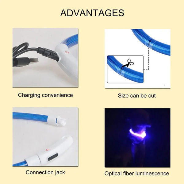 LED Dog Collar - Luminous USB Rechargeable Pet Accessory