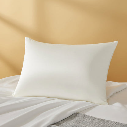 25 Momme Mulberry Silk Pillowcase – 100% Pure Silk, 600TC