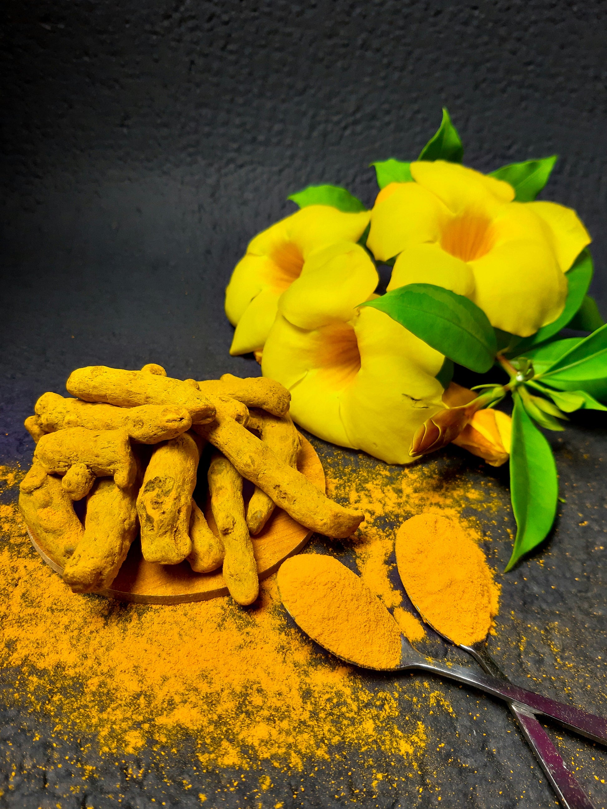Turmeric Powder-3